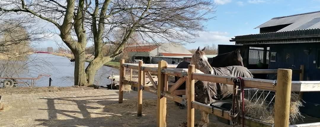 uitloop stallen 2025